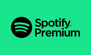 Spotify Digital Code 12 Months 99 GBP GB